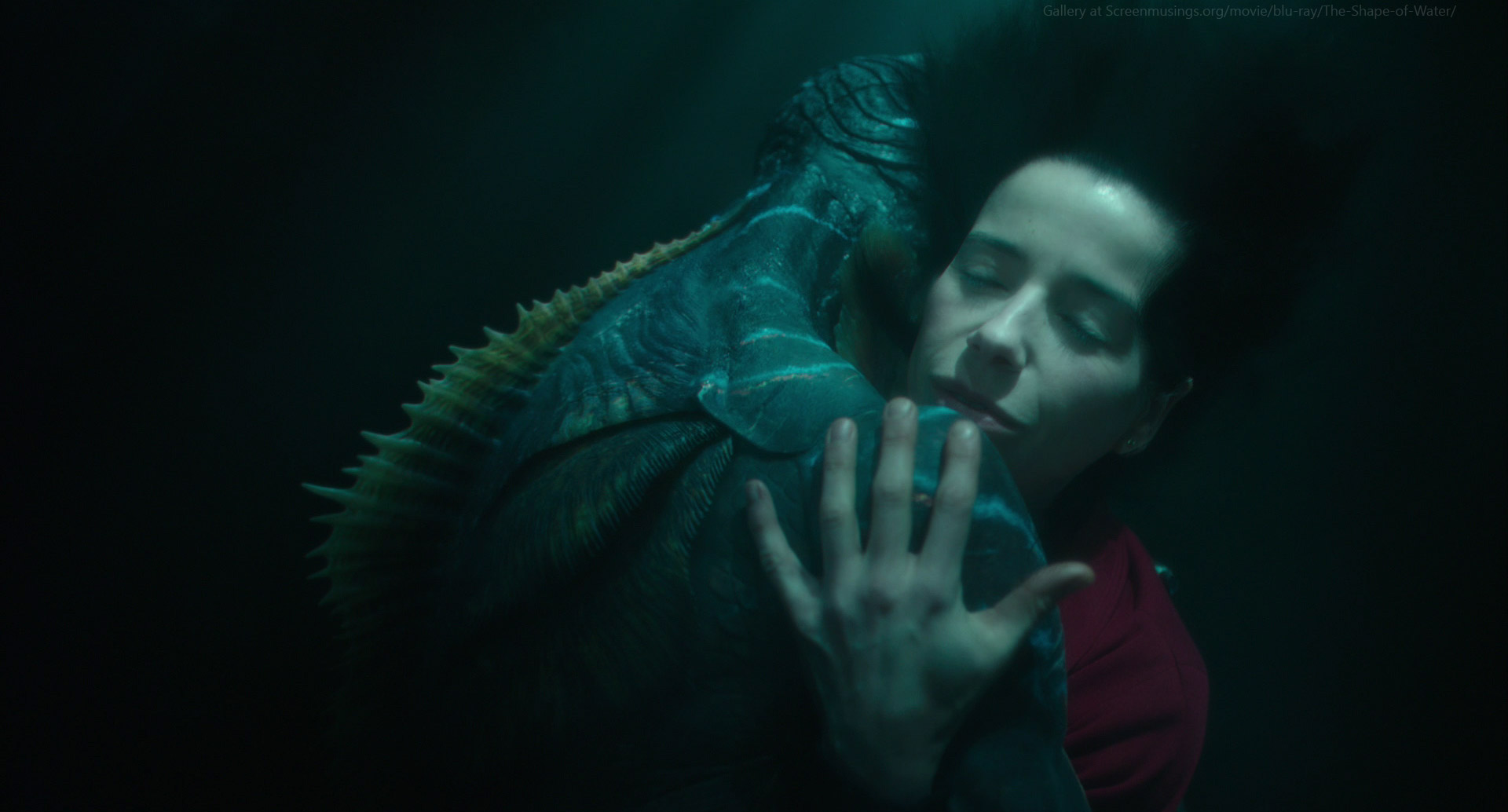 Shape of Water(2017)