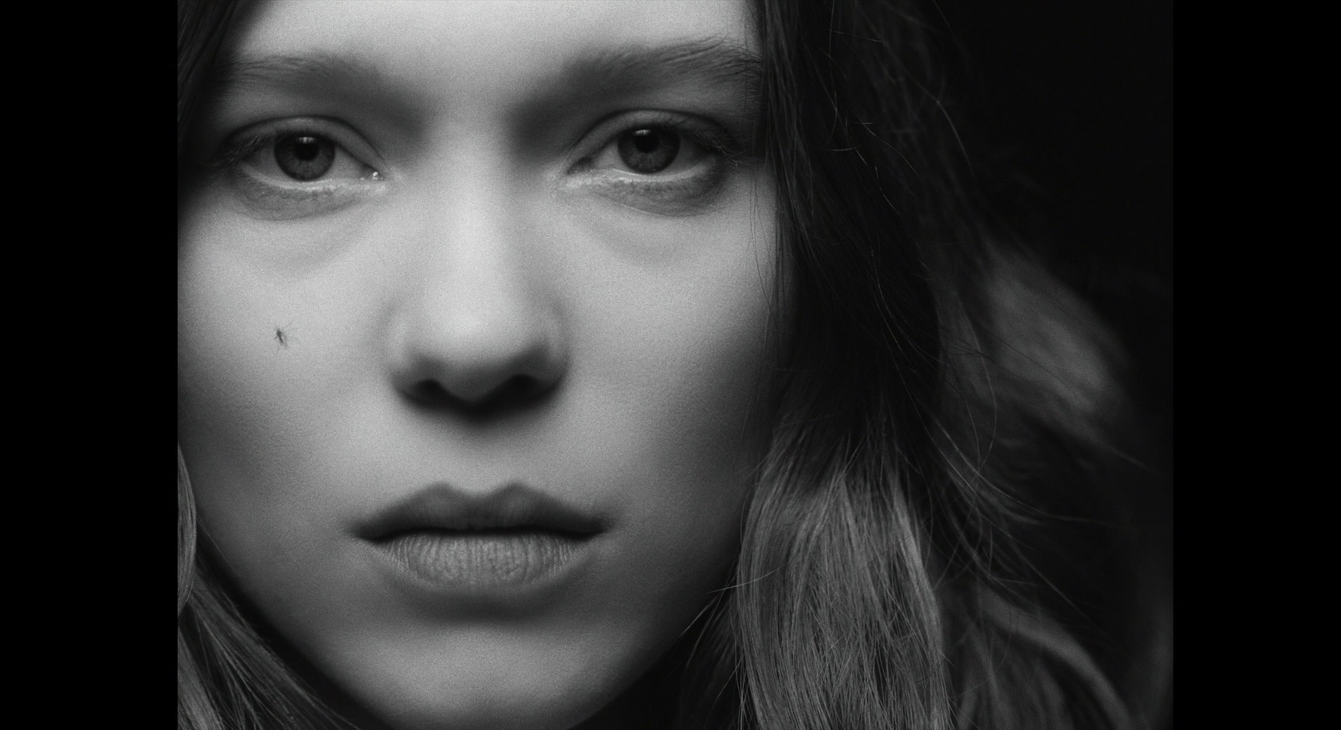 The French Dispatch(2021)